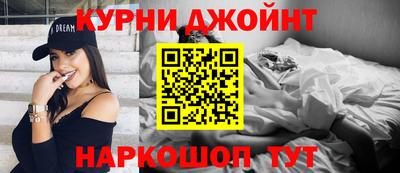 сатива Краснознаменск