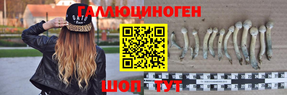 Ижевск  Псилоцибиновые грибы мухоморы  Галлюциногенные грибы MAGIC MUSHROOMS  Вход с VPN 